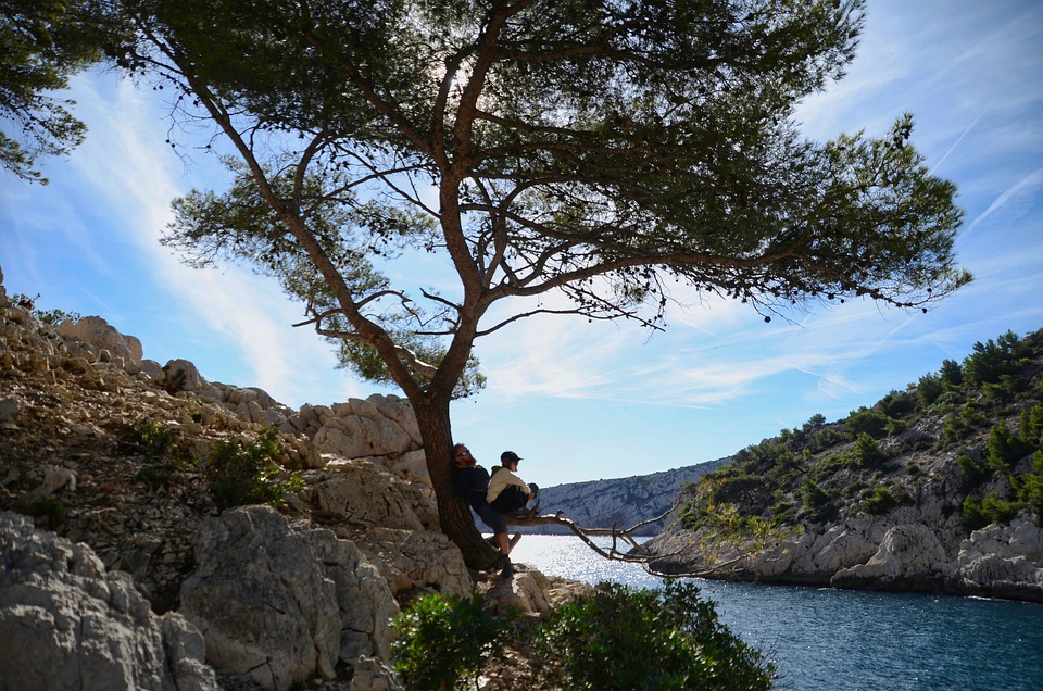 Calanques de Marseille avec personnes sous un arbre, vue sur la mer cristalline.