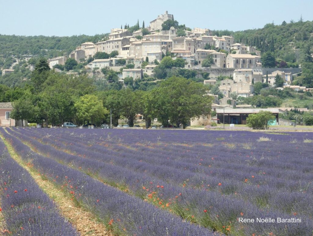 Vue panoramique sur le charmant village provençal de Simiane-la-Rotonde, entouré de collines verdoyantes et de champs de lavande.