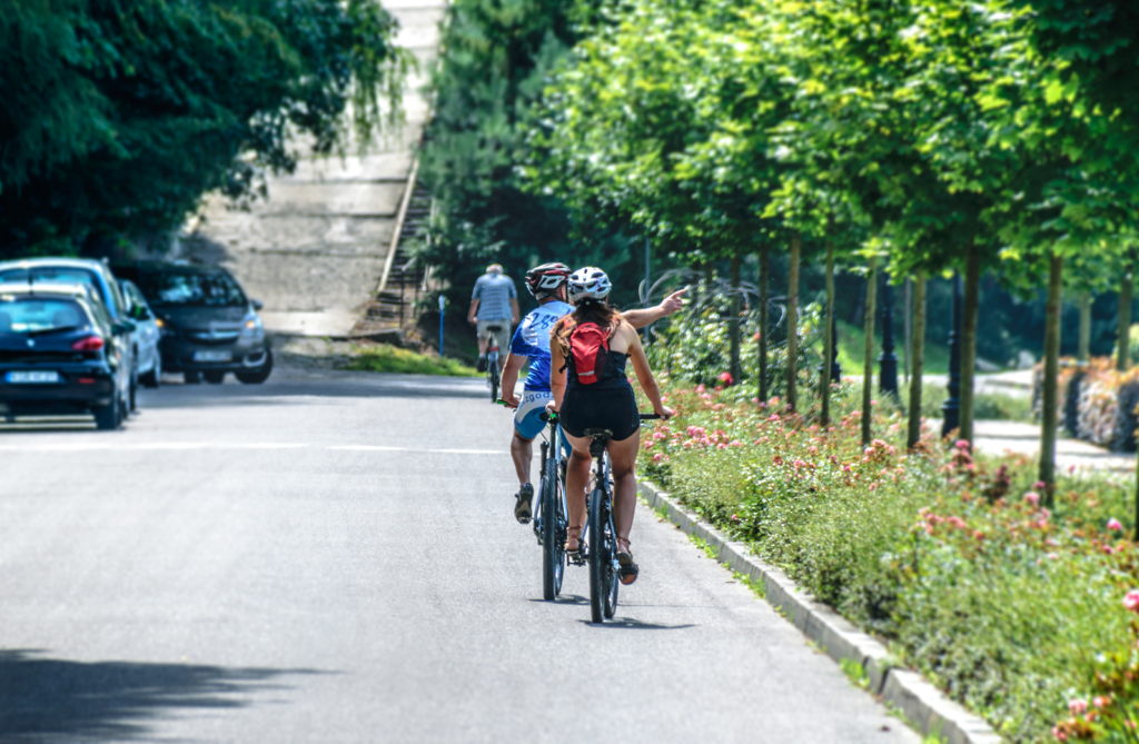 Couple de cyclistes découvrant les itinéraires à vélo en Provence sur une avenue bordée de platanes